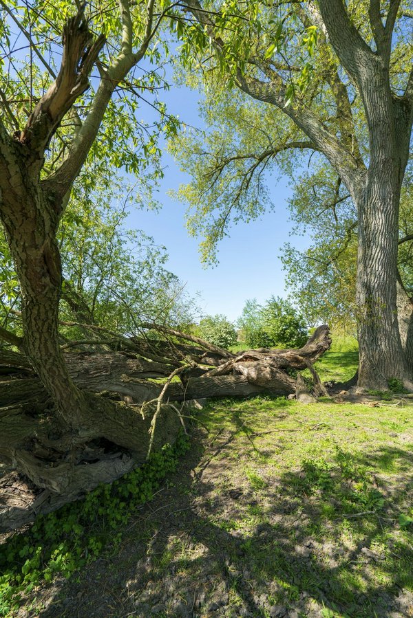 How the Latest Events for Navigating Uncertain Times