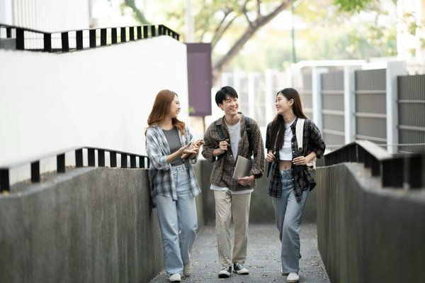 How to Train Your Pets and Their Long-term Effects